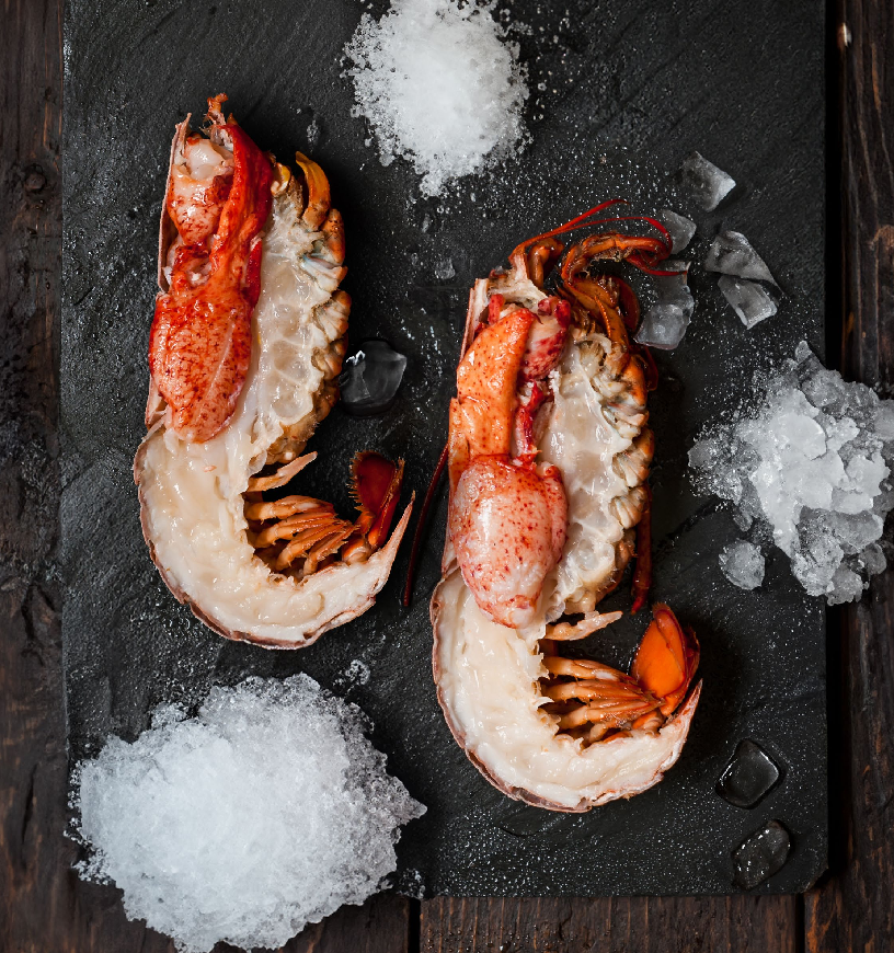 Atlantic-lobster-live