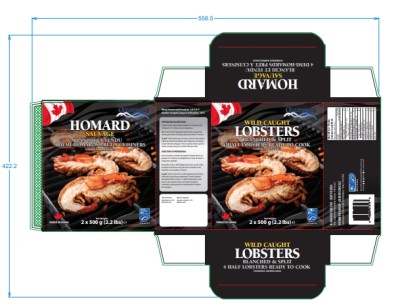 split-lobster-product-box